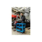 ΤΡΟΧΗΛΑΤΟ ΚΑΡΟΤΣΙ 3 ΡΑΦΙΩΝ | ΚΑΡΟΤΣΙΑ στο Profishop