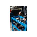 ΤΡΟΧΗΛΑΤΟ ΚΑΡΟΤΣΙ 3 ΡΑΦΙΩΝ | ΚΑΡΟΤΣΙΑ στο Profishop