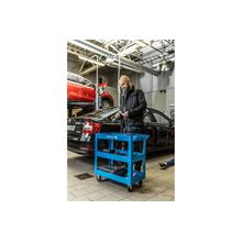 ΤΡΟΧΗΛΑΤΟ ΚΑΡΟΤΣΙ 3 ΡΑΦΙΩΝ | ΚΑΡΟΤΣΙΑ στο Profishop